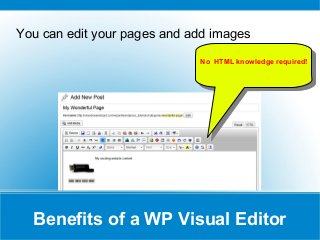 WordPress visual editors