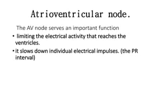 Atrioventricular node.
The AV node serves an important function
• limiting the electrical activity that reaches the
ventricles.
• it slows down individual electrical impulses. (the PR
interval)
 