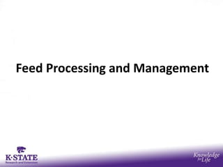 Feed Processing and Management
 