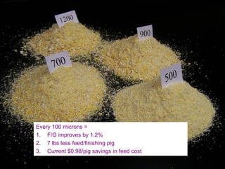 Every 100 microns =
1. F/G improves by 1.2%
2. 7 lbs less feed/finishing pig
3. Current $0.98/pig savings in feed cost
 