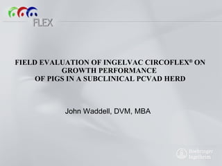FIELD EVALUATION OF INGELVAC CIRCOFLEX ®  ON GROWTH PERFORMANCE  OF PIGS IN A SUBCLINICAL PCVAD HERD John Waddell, DVM, MBA 