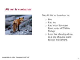 Alt text is contextual
Image credit: J. and K. Hollingsworth/USFWS
Should this be described as:
 Fox
 Red fox
 Red fox at Sachuest
Point National Wildlife
Refuge
 A red fox, standing alone
on a pile of rocks, looks
back at the camera.
25
 
