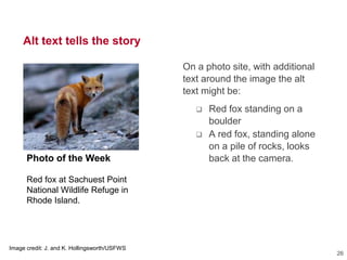 Alt text tells the story
Photo of the Week
Red fox at Sachuest Point
National Wildlife Refuge in
Rhode Island.
Image credit: J. and K. Hollingsworth/USFWS
On a photo site, with additional
text around the image the alt
text might be:
 Red fox standing on a
boulder
 A red fox, standing alone
on a pile of rocks, looks
back at the camera.
26
 