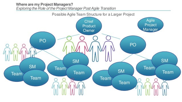 Where are my Project Managers? Role of the Project Manager with Agi…