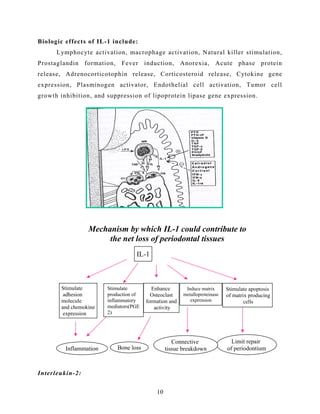 Biologic effects of IL-1 include:
Lymphocyte activation, macrophage activation, Natural killer stimulation,
Prostaglandin formation, Fever induction, Anorexia, Acute phase protein
release, Adrenocorticotophin release, Corticosteroid release, Cytokine gene
expression, Plasminogen activator, Endothelial cell activation, Tumor cell
growth inhibition, and suppression of lipoprotein lipase gene expression.
Interleukin-2:
IL-1
Induce matrix
metalloproteinase
expression
Enhance
Osteoclast
formation and
activity
Stimulate
adhesion
molecule
and chemokine
expression
Stimulate apoptosis
of matrix producing
cells
Inflammation Bone loss
Limit repair
of periodontium
Mechanism by which IL-1 could contribute to
the net loss of periodontal tissues
Connective
tissue breakdown
Stimulate
production of
inflammatory
mediators(PGE
2)
10
 