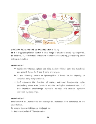 SOME OF THE EFFECTS OF INTERLEUKIN-6 (IL-6)
IL-6 is a typical cytokine, in that it has a range of effects on many organ systems.
In addition, IL-6 stimulates osteoclast formation and activity, particularly other
osteogen depletion
Interleukin-7:
 Secreted by thymus, spleen and bone marrow stromal cells that functions
as a growth factor for T and B cells precursors.
 It was formerly known as lymphopoitin 1 based on its capacity to
influence early lymphopoiesis.
 IL-7 enhances the function of mature activated lymphocytic cells,
particularly those with cytotoxic activity. At higher concentrations, IL-7
also increases macrophage cytotoxic activity and induces cytokine
secretion by monocytes.
Interleukin-8:
Interleukin-8 is Chemotactic for neutrophils, increases their adherence to the
endothelium.
In general these cytokines are produced by:
1. Antigen stimulated T lymphocytes
14
 