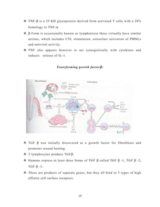  TNF-β is a 25 KD glycoprotein derived from activated T cells with a 28%
homology to TNF-α
 β Form is occasionally known as lymphotoxin these virtually have similar
actions, which includes CTL stimulation, osteoclast activation of PMNLs
and antiviral activity.
 TNF also appears however to act synergistically with cytokines and
induces release of IL-1.
Transforming growth factorβ :
 TGF β was initially discovered as a growth factor for fibroblasts and
promotes wound healing.
 T lymphocytes produce TGFβ.
 Humans express at least three forms of TGF β called TGF β -1, TGF β -2,
TGF β -3.
 These are products of separate genes, but they all bind to 5 types of high
affinity cell surface receptors.
19
 