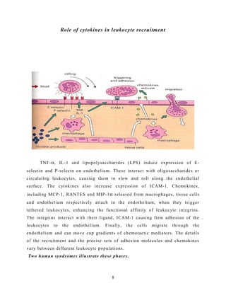 Role of cytokines in leukocyte recruitment
TNF-α, IL-1 and lipopolysaccharides (LPS) induce expression of E-
selectin and P-selectn on endothelium. These interact with oligosaccharides or
circulating leukocytes, causing them to slow and roll along the endothelial
surface. The cytokines also increase expression of ICAM-1. Chemokines,
including MCP-1, RANTES and MIP-1α released from macrophages, tissue cells
and endothelium respectively attach to the endothelium, when they trigger
tethered leukocytes, enhancing the functional affinity of leukocyte integrins.
The integrins interact with their ligand, ICAM-1 causing firm adhesion of the
leukocytes to the endothelium. Finally, the cells migrate through the
endothelium and can move cup gradients of chemotactic mediators. The details
of the recruitment and the precise sets of adhesion molecules and chemokines
vary between different leukocyte populations.
Two human syndromes illustrate these phases.
8
 