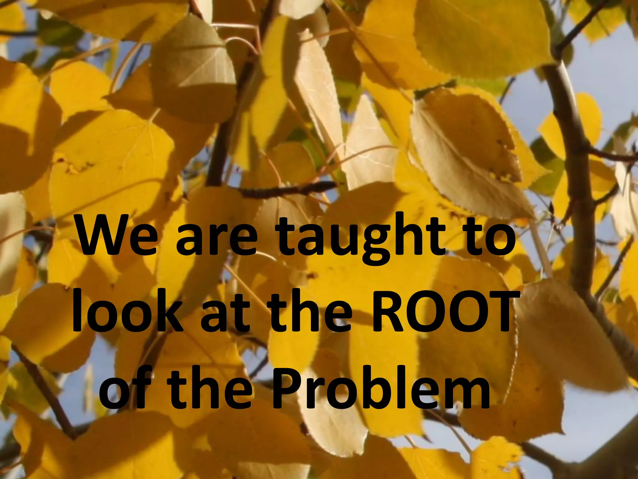 We are taught to
look at the ROOT
 of the Problem
 