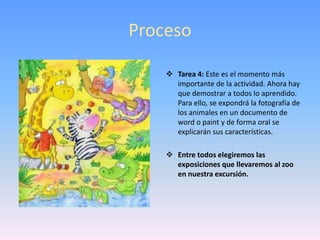 ¿Cómo es su alimentación?