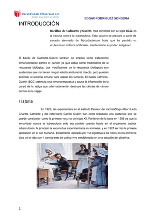 EDGAR RODRIGUEZGONGORA
2
INTRODUCCIÓN
Bacillus de Calmette y Guérin, más conocida por su sigla BCG, es
la vacuna contra la tuberculosis. Esta vacuna se prepara a partir de
extracto atenuado de Mycobacterium bovis que ha perdido su
virulencia en cultivos artificiales, manteniendo su poder antigénico.
El bacilo de Calmette-Guérin también se emplea como tratamiento
inmunoterápico contra el cáncer ya que actúa como modificante de la
respuesta biológica. Los modificantes de la respuesta biológicas son
sustancias que no tienen ningún efecto antitumoral directo, pero pueden
accionar el sistema inmune para atacar los tumores. El Bacilo Calmette-
Guerin (BCG) estimula una inmunorespuesta y causa la inflamación de la
pared de la vejiga que, alternadamente, destruye las células de cáncer
dentro de la vejiga
Historia
En 1925, las experiencias en el Instituto Pasteur del microbiólogo Albert León
Charles Calmette y del veterinario Camile Guérin dan como resultado una sustancia que se
puede considerar como la primera vacuna del siglo XX. Partieron de la base en 1906 de que la
inmunidad contra la tuberculosis sólo era posible cuando había en el organismo bacilos
tuberculosos. Al principio la vacuna fue experimentada en animales, y en 1921 se hizo la primera
aplicación en el ser humano. Inicialmente aplicada por vía digestiva a los niños en los primeros
días de la vida con 1 centígramo de cultivo vivo emulsionada en una solución de glicerina.
 