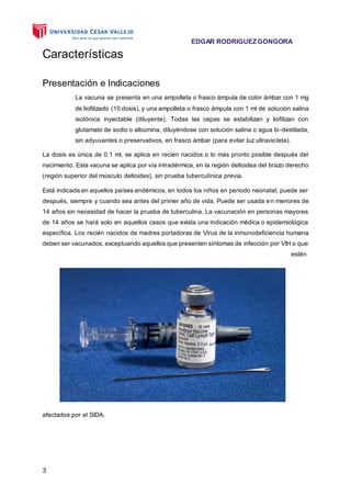 EDGAR RODRIGUEZGONGORA
3
Características
Presentación e Indicaciones
La vacuna se presenta en una ampolleta o frasco ámpula de color ámbar con 1 mg
de liofilizado (10 dosis), y una ampolleta o frasco ámpula con 1 ml de solución salina
isotónica inyectable (diluyente). Todas las cepas se estabilizan y liofilizan con
glutamato de sodio o albúmina, diluyéndose con solución salina o agua bi-destilada,
sin adyuvantes o preservativos, en frasco ámbar (para evitar luz ultravioleta).
La dosis es única de 0.1 ml, se aplica en recién nacidos o lo más pronto posible después del
nacimiento. Esta vacuna se aplica por vía intradérmica, en la región deltoidea del brazo derecho
(región superior del músculo deltoides), sin prueba tuberculínica previa.
Está indicada en aquellos países endémicos, en todos los niños en periodo neonatal; puede ser
después, siempre y cuando sea antes del primer año de vida. Puede ser usada en menores de
14 años sin necesidad de hacer la prueba de tuberculina. La vacunación en personas mayores
de 14 años se hará solo en aquellos casos que exista una indicación médica o epidemiológica
específica. Los recién nacidos de madres portadoras de Virus de la inmunodeficiencia humana
deben ser vacunados, exceptuando aquellos que presenten síntomas de infección por VIH o que
estén
afectados por el SIDA.
 