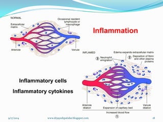 Inflammation 
Inflammatory cells Inflammatory cytokines 
9/17/2014 
18 
www.drjayeshpatidar.blogspot.com  