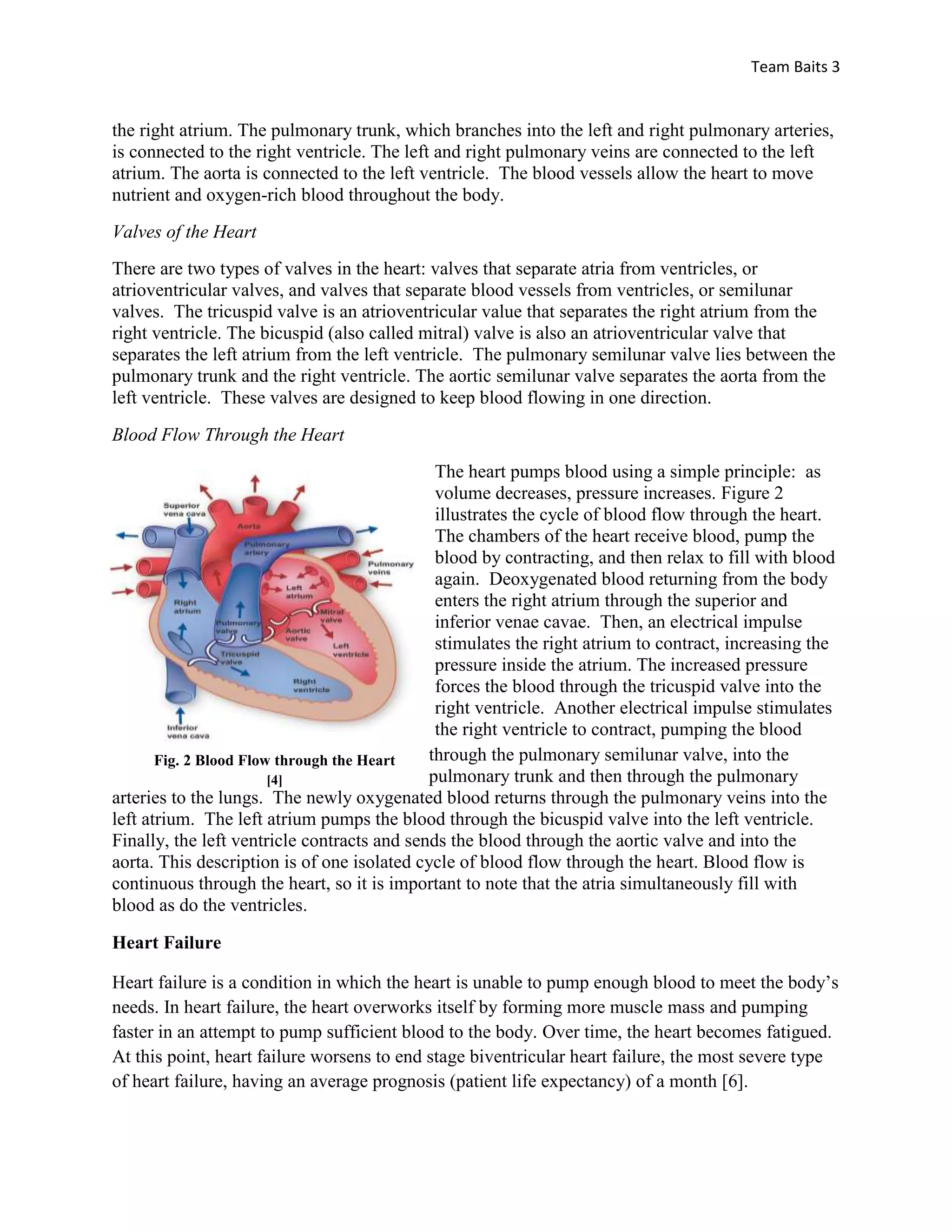 Grabowski, Sandra Reynolds, Gerald J. Tortora, and Gerard J. Tortora. "The Cardiovascular System: Heart." Introduction to the Human Body: The Essentials of Anatomy and Physiology. New York: Addison Wesley Publishing Company, 1996. 342. Retrieved November 10th, 2009.    