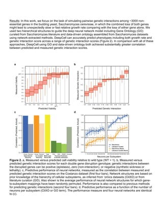 Results: In this work, we focus on the task of simulating pairwise genetic interactions among ~3000 non-
essential genes in the budding yeast, Saccharomyces cerevisiae, in which the combined loss of both genes
might lead to unexpectedly slow or fast relative growth rate comparing with the loss of either gene alone. We
used two hierarchical structures to guide the deep neural network model including Gene Ontology (GO)
curated from Saccharomyces literature and data-driven ontology assembled from Saccharomyces datasets
using network-extracted methods. DeepCell can accurately predict phenotypes including both growth rate and
genetic interaction score across a range of genetic interaction scores (Figure 2). In comparison with all of these
approaches, DeepCell using GO and data-driven ontology both achieved substantially greater correlation
between predicted and measured genetic interaction scores.
Figure 2. a, Measured versus predicted cell viability relative to wild type (WT = 1). b, Measured versus
predicted genetic interaction scores for each double gene disruption genotype; genetic interactions between
the disrupted genes can be positive (epistasis), zero (non-interaction), or negative (synthetic sickness or
lethality). c, Predictive performance of neural networks, measured as the correlation between measured and
predicted genetic interaction scores on the Costanzo dataset (first four bars). Network structures are based on
prior knowledge of the hierarchy of cellular subsystems, as inferred from ‘omics datasets (CliXO) or from
literature curation (GO). Also shown is the average performance of neural network structures for which gene-
to-subsystem mappings have been randomly permuted. Performance is also compared to previous methods
for predicting genetic interactions (second four bars). d, Predictive performance as a function of the number of
neurons per subsystem (CliXO or GO term). The performance measure and four neural networks are identical
to (c).
 