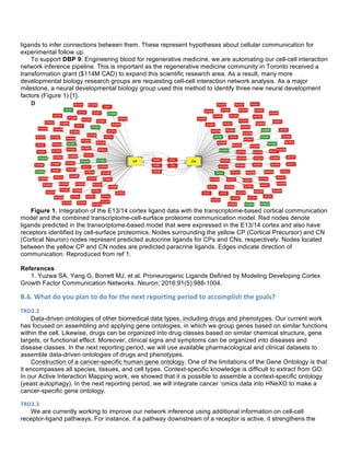 ligands to infer connections between them. These represent hypotheses about cellular communication for
experimental follow up.
To support DBP 9: Engineering blood for regenerative medicine, we are automating our cell-cell interaction
network inference pipeline. This is important as the regenerative medicine community in Toronto received a
transformation grant ($114M CAD) to expand this scientific research area. As a result, many more
developmental biology research groups are requesting cell-cell interaction network analysis. As a major
milestone, a neural developmental biology group used this method to identify three new neural development
factors (Figure 1) [1].
Figure 1. Integration of the E13/14 cortex ligand data with the transcriptome-based cortical communication
model and the combined transcriptome-cell-surface proteome communication model. Red nodes denote
ligands predicted in the transcriptome-based model that were expressed in the E13/14 cortex and also have
receptors identified by cell-surface proteomics. Nodes surrounding the yellow CP (Cortical Precursor) and CN
(Cortical Neuron) nodes represent predicted autocrine ligands for CPs and CNs, respectively. Nodes located
between the yellow CP and CN nodes are predicted paracrine ligands. Edges indicate direction of
communication. Reproduced from ref 1.
References
1. Yuzwa SA, Yang G, Borrett MJ, et al. Proneurogenic Ligands Defined by Modeling Developing Cortex
Growth Factor Communication Networks. Neuron. 2016;91(5):988-1004.
B.6.	
  What	
  do	
  you	
  plan	
  to	
  do	
  for	
  the	
  next	
  reporting	
  period	
  to	
  accomplish	
  the	
  goals?
TRD3.2	
  
Data-driven ontologies of other biomedical data types, including drugs and phenotypes. Our current work
has focused on assembling and applying gene ontologies, in which we group genes based on similar functions
within the cell. Likewise, drugs can be organized into drug classes based on similar chemical structure, gene
targets, or functional effect. Moreover, clinical signs and symptoms can be organized into diseases and
disease classes. In the next reporting period, we will use available pharmacological and clinical datasets to
assemble data-driven ontologies of drugs and phenotypes.
Construction of a cancer-specific human gene ontology. One of the limitations of the Gene Ontology is that
it encompasses all species, tissues, and cell types. Context-specific knowledge is difficult to extract from GO.
In our Active Interaction Mapping work, we showed that it is possible to assemble a context-specific ontology
(yeast autophagy). In the next reporting period, we will integrate cancer ‘omics data into HNeXO to make a
cancer-specific gene ontology.
TRD3.3	
  
We are currently working to improve our network inference using additional information on cell-cell
receptor-ligand pathways. For instance, if a pathway downstream of a receptor is active, it strengthens the
 