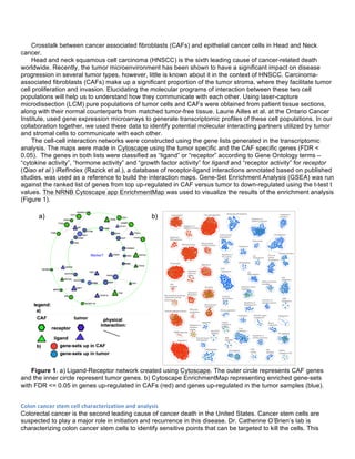 Crosstalk between cancer associated fibroblasts (CAFs) and epithelial cancer cells in Head and Neck
cancer.
Head and neck squamous cell carcinoma (HNSCC) is the sixth leading cause of cancer-related death
worldwide. Recently, the tumor microenvironment has been shown to have a significant impact on disease
progression in several tumor types, however, little is known about it in the context of HNSCC. Carcinoma-
associated fibroblasts (CAFs) make up a significant proportion of the tumor stroma, where they facilitate tumor
cell proliferation and invasion. Elucidating the molecular programs of interaction between these two cell
populations will help us to understand how they communicate with each other. Using laser-capture
microdissection (LCM) pure populations of tumor cells and CAFs were obtained from patient tissue sections,
along with their normal counterparts from matched tumor-free tissue. Laurie Ailles et al. at the Ontario Cancer
Institute, used gene expression microarrays to generate transcriptomic profiles of these cell populations. In our
collaboration together, we used these data to identify potential molecular interacting partners utilized by tumor
and stromal cells to communicate with each other.
The cell-cell interaction networks were constructed using the gene lists generated in the transcriptomic
analysis. The maps were made in Cytoscape using the tumor specific and the CAF specific genes (FDR <
0.05). The genes in both lists were classified as “ligand” or “receptor” according to Gene Ontology terms –
“cytokine activity”, “hormone activity” and “growth factor activity” for ligand and “receptor activity” for receptor
(Qiao et al.) iRefIndex (Razick et al.), a database of receptor-ligand interactions annotated based on published
studies, was used as a reference to build the interaction maps. Gene-Set Enrichment Analysis (GSEA) was run
against the ranked list of genes from top up-regulated in CAF versus tumor to down-regulated using the t-test t
values. The NRNB Cytoscape app EnrichmentMap was used to visualize the results of the enrichment analysis
(Figure 1).
Figure 1. a) Ligand-Receptor network created using Cytoscape. The outer circle represents CAF genes
and the inner circle represent tumor genes. b) Cytoscape EnrichmentMap representing enriched gene-sets
with FDR <= 0.05 in genes up-regulated in CAFs (red) and genes up-regulated in the tumor samples (blue).
Colon	
  cancer	
  stem	
  cell	
  characterization	
  and	
  analysis	
  
Colorectal cancer is the second leading cause of cancer death in the United States. Cancer stem cells are
suspected to play a major role in initiation and recurrence in this disease. Dr. Catherine O’Brien’s lab is
characterizing colon cancer stem cells to identify sensitive points that can be targeted to kill the cells. This
 