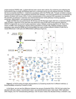 project analyzes POP92 cells, a patient-derived colon cancer stem cell line. By combining and collapsing the
transcriptome data of single cell RNAseq data from a colorectal cancer line into pathway activities, the Bader
lab has successfully identified 4 - 6 distinctive populations within the POP92 cells. Through correlation analysis
comparing each population with published colorectal CSC datasets, one of the populations has consistently the
highest correlation with known CSCs. Further characterization of this potential CSC population has identified
the activation of pathways in telomere and mitochondrial function while pathways involving apoptosis,
autophagy, differentiation, and development are repressed.
Single cell RNA-Seq was performed for 96 Wnt-low and 96 Wnt-high single cells from a colorectal cell line
cells (Fluidigm). Alignment of the fastq files was performed using STAR with human genome reference
GRCh37 to generate raw counts for gene expression values. Multiple clustering algorithms (W: Ward, K:K-
means, N:NMF) were employed to identify distinct populations of single cells. Pathway analysis of gene
expression data using the NRNB tool EnrichmentMap was used compare different clusters of cells and to
reveal differences in cell cycle and differentiation pathways (Figure 2).
Figure 2. a) FACS sorting of single cell populations; b) Clustering results from 3 different methods; c)
EnrichmentMap comparing 2 clusters of cells.
In this figure, we can see the difference between two groups of potential CSCs. CSC K4 (red nodes) has
elevated cell cycle, mitosis, recombination repair, non-recombinational repair, base repair, DNA replication,
DNA integrity, and TCF transactivating pathways. CSC K3 (blue nodes) has elevated embryo, endoderm, eye,
 