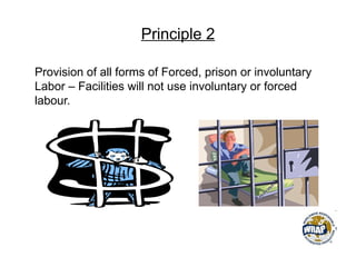 Principle 2
Provision of all forms of Forced, prison or involuntary
Labor – Facilities will not use involuntary or forced
labour.
 