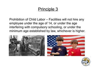 Principle 3
Prohibition of Child Labor – Facilities will not hire any
employee under the age of 14, or under the age
interfering with compulsory schooling, or under the
minimum age established by law, whichever is higher.
 