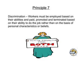Principle 7
Discrimination – Workers must be employed based on
their abilities and paid, promoted and terminated based
on their ability to do the job rather than on the basis of
personal characteristics or beliefs.
 