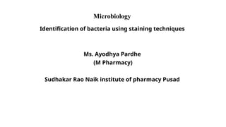 Identification of bacteria using staining techniques | PPTX