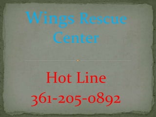 Wings Rescue
Center
Hot Line
361-205-0892
 
