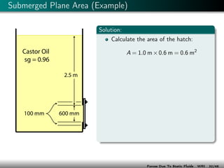 Wri Examples Wri 03 forcesstaticfluids | PDF