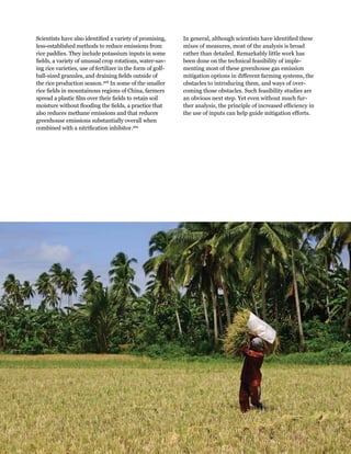 Creating a Sustainable Food Future: Interim Findings 93 
Scientists have also identified a variety of promising, 
less-established methods to reduce emissions from 
rice paddies. They include potassium inputs in some 
fields, a variety of unusual crop rotations, water-sav-ing 
rice varieties, use of fertilizer in the form of golf-ball- 
sized granules, and draining fields outside of 
the rice production season.368 In some of the smaller 
rice fields in mountainous regions of China, farmers 
spread a plastic film over their fields to retain soil 
moisture without flooding the fields, a practice that 
also reduces methane emissions and that reduces 
greenhouse emissions substantially overall when 
combined with a nitrification inhibitor.369 
In general, although scientists have identified these 
mixes of measures, most of the analysis is broad 
rather than detailed. Remarkably little work has 
been done on the technical feasibility of imple-menting 
most of these greenhouse gas emission 
mitigation options in different farming systems, the 
obstacles to introducing them, and ways of over-coming 
those obstacles. Such feasibility studies are 
an obvious next step. Yet even without much fur-ther 
analysis, the principle of increased efficiency in 
the use of inputs can help guide mitigation efforts. 
 