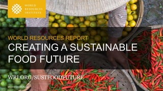 World Resources Report: Creating a Sustainable Food Future PPTX