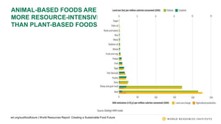 World Resources Report: Creating a Sustainable Food Future | PPTX