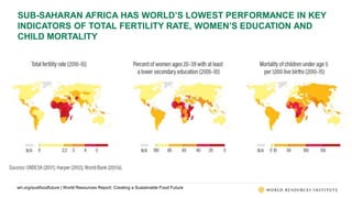 World Resources Report: Creating a Sustainable Food Future | PPTX