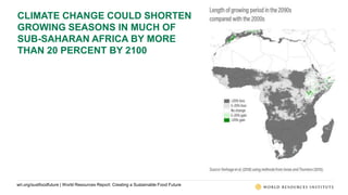 World Resources Report: Creating a Sustainable Food Future | PPTX