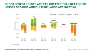 World Resources Report: Creating a Sustainable Food Future | PPTX