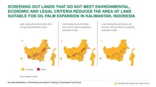 World Resources Report: Creating a Sustainable Food Future | PPTX