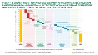 World Resources Report: Creating a Sustainable Food Future | PPTX
