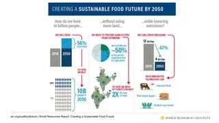 World Resources Report: Creating a Sustainable Food Future | PPTX