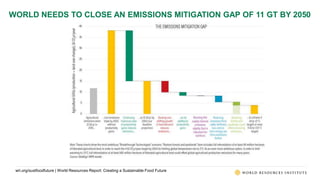 World Resources Report: Creating a Sustainable Food Future | PPTX