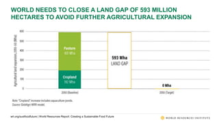 World Resources Report: Creating a Sustainable Food Future | PPTX