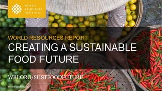 #SUSTFOODFUTURE
WRI.ORG/SUSTFOODFUTURE
WORLD RESOURCES REPORT
CREATING A SUSTAINABLE
FOOD FUTURE
 
