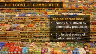 HIGH COST OF COMMODITIES
Image: lyzadanger/Wikimedia Commons
Tropical forest loss:
• Nearly 50% driven by
commodity production
• 3rd largest source of
carbon emissions
 