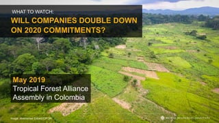 WILL COMPANIES DOUBLE DOWN
ON 2020 COMMITMENTS?
Image: Mokhamad Edliadi/CIFOR
WHAT TO WATCH:
May 2019
Tropical Forest Alliance
Assembly in Colombia
 
