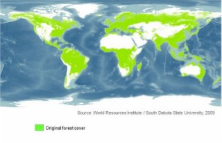 WRI (low res.map)- Global Forest Cover Map 