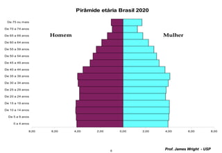 6
Prof. James Wright - USP
Pirâmide etária Brasil 2020
8,00 6,00 4,00 2,00 0,00 2,00 4,00 6,00 8,00
0 a 4 anos
De 5 a 9 anos
De 10 a 14 anos
De 15 a 19 anos
De 20 a 24 anos
De 25 a 29 anos
De 30 a 34 anos
De 35 a 39 anos
De 40 a 44 anos
De 45 a 49 anos
De 50 a 54 anos
De 55 a 59 anos
De 60 a 64 anos
De 65 a 69 anos
De 70 a 74 anos
De 75 ou mais
MulherHomem
 