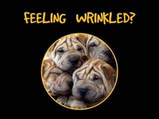 Feeling Wrinkled
