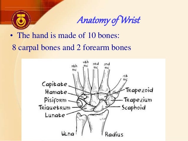 Sport Injuries - Wrist and Fingers Injuries