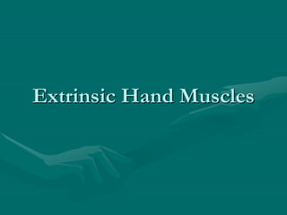 Extrinsic Hand Muscles
 