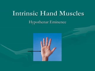 Intrinsic Hand Muscles
Hypothenar Eminence
 