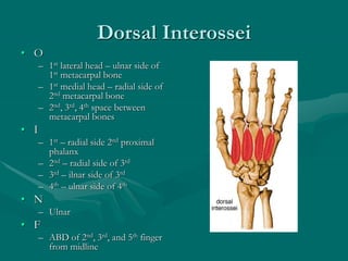 Dorsal Interossei
• O
– 1st lateral head – ulnar side of
1st metacarpal bone
– 1st medial head – radial side of
2nd metacarpal bone
– 2nd, 3rd, 4th space between
metacarpal bones
• I
– 1st – radial side 2nd proximal
phalanx
– 2nd – radial side of 3rd
– 3rd – ilnar side of 3rd
– 4th – ulnar side of 4th
• N
– Ulnar
• F
– ABD of 2nd, 3rd, and 5th finger
from midline
 
