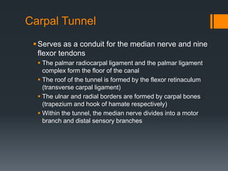 Carpal Tunnel
Serves as a conduit for the median nerve and nine
flexor tendons
 The palmar radiocarpal ligament and the palmar ligament
complex form the floor of the canal
 The roof of the tunnel is formed by the flexor retinaculum
(transverse carpal ligament)
 The ulnar and radial borders are formed by carpal bones
(trapezium and hook of hamate respectively)
 Within the tunnel, the median nerve divides into a motor
branch and distal sensory branches
 